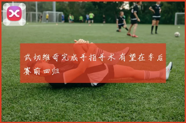 武切维奇完成手指手术 有望在季后赛前回归